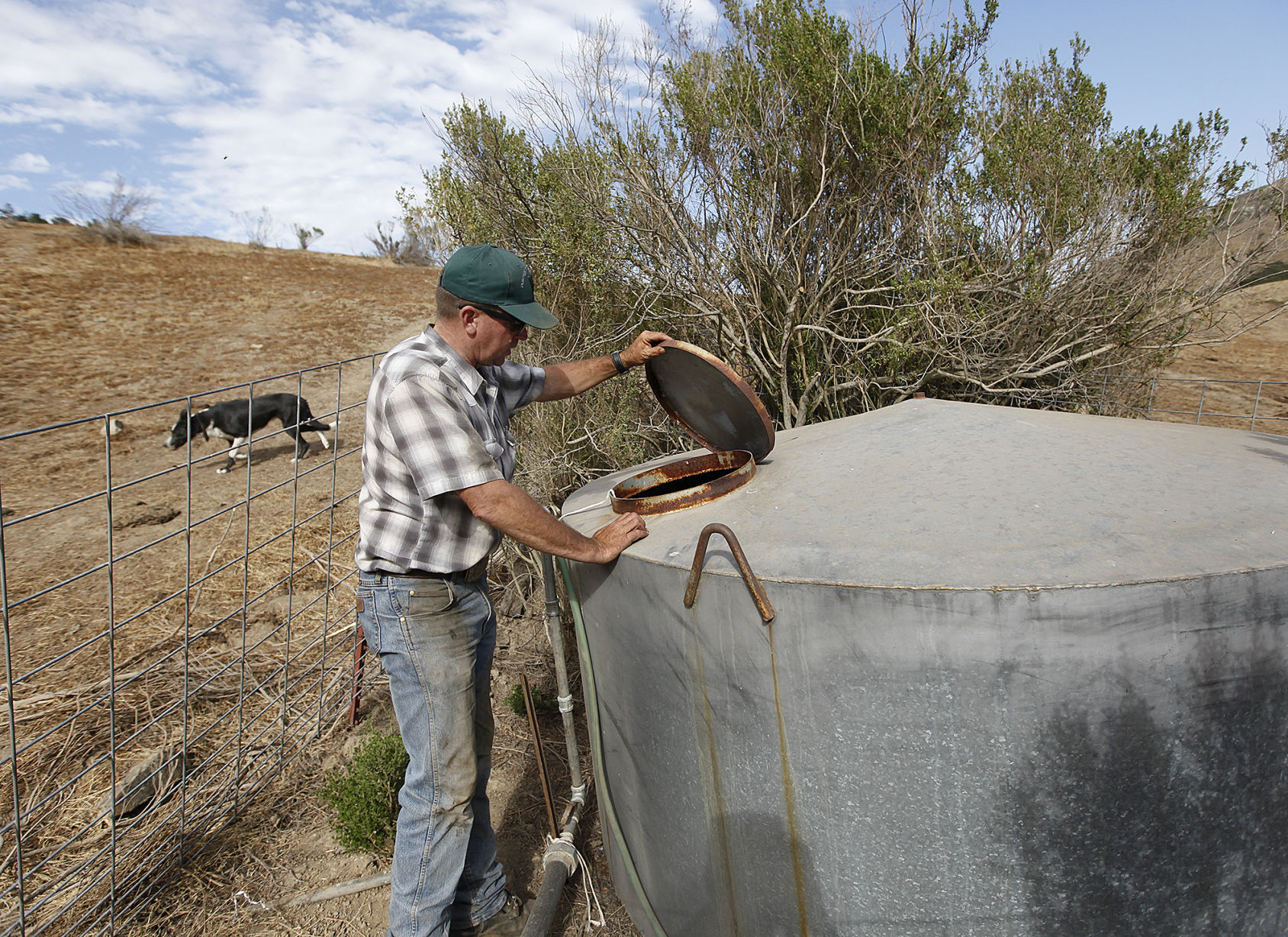 Cattle Ranch 0104A.JPG